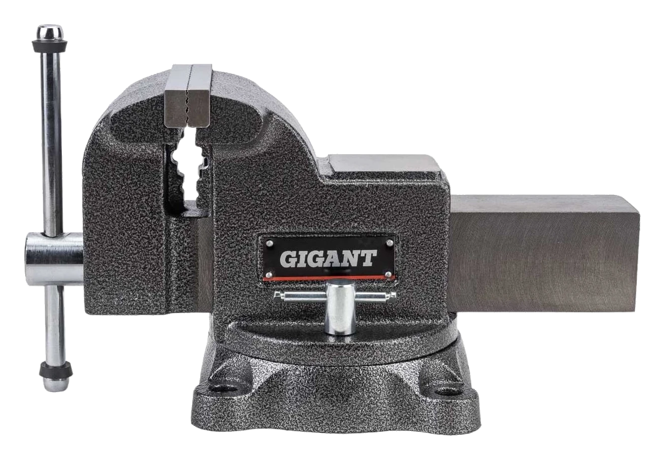Professional swivel bench vise 125 mm GP-BV-125